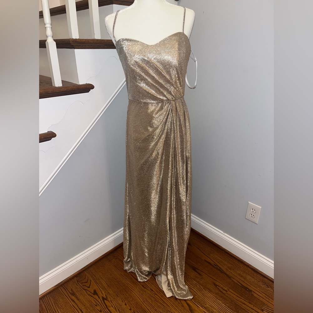 Hayley Paige Size 12